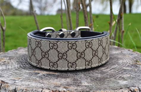 dog printed dress gucci|authentic Gucci dog collar.